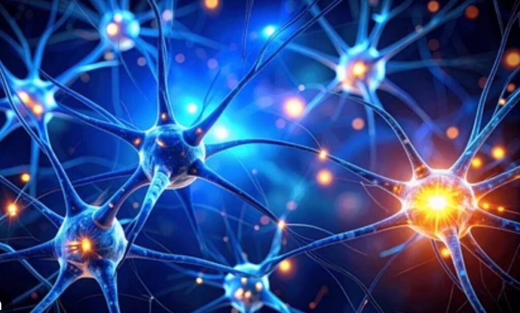 Neurociencia en el mecanismo cuántico